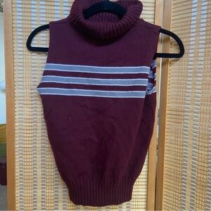 Burgundy Striped Cowl Turtleneck Sweater